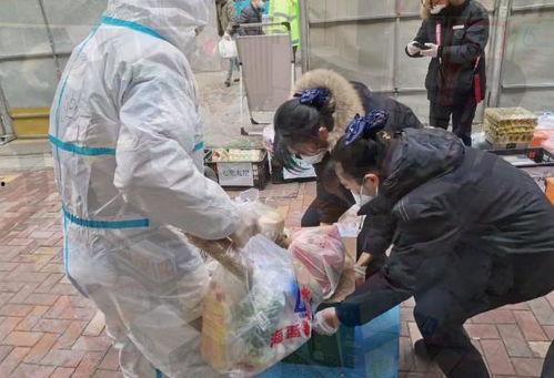 西安疫情 吃瓜,追踪瓜田里的最新动态