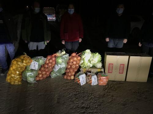 西安疫情 吃瓜,追踪瓜田里的最新动态