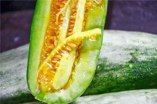 吃瓜网红最新,娱乐圈幕后真相大曝光！