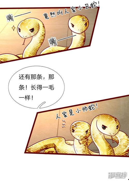 陛下吃瓜,宫廷秘闻背后的趣味解读