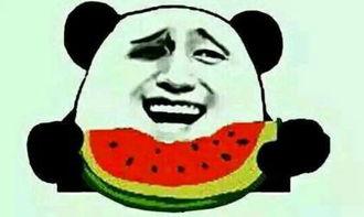 套路吃瓜,吃瓜群众如何识破明星“人设”