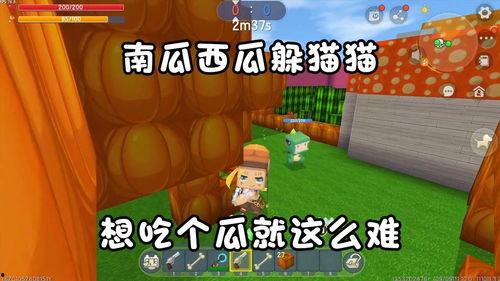 迷你世界的吃瓜咋吃,轻松掌握瓜果美味新吃法