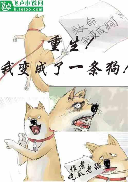 吃瓜在线小说校园,吃瓜少女的逆袭传奇