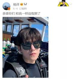 倔强的吃瓜,揭秘娱乐圈风云