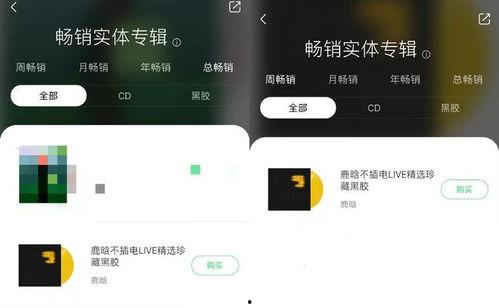 继续吃瓜歌曲视频大全,趣味视频大全来袭！