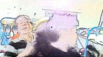 alfira夫妇吃瓜,Alfira夫妇的甜蜜瓜趣生活