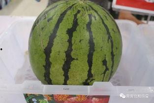 吃瓜节2018,全民狂欢，瓜界盛宴