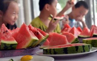 吃瓜节2018,全民狂欢，瓜界盛宴