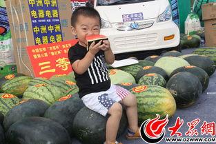 吃瓜66,揭秘娱乐圈背后的那些事儿