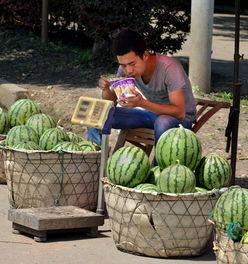 摊里吃瓜,品味人间烟火气